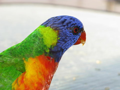 Baywatch Apartments Merimbula - Lennox Head Accommodation 23