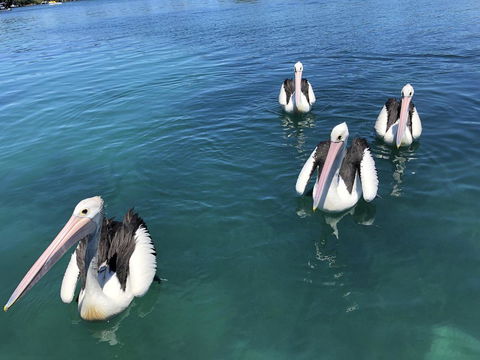 Aquarius 9 - Lennox Head Accommodation 4