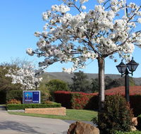 Hume Country Motor Inn - Lennox Head Accommodation