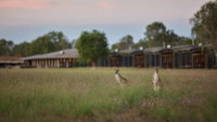 Book Point Stuart Accommodation Vacations Lennox Head Accommodation Lennox Head Accommodation