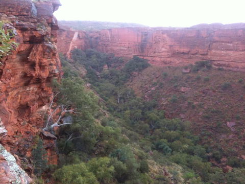 Discovery Resorts - Kings Canyon - Lennox Head Accommodation 34