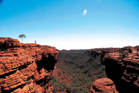 Discovery Resorts - Kings Canyon - Lennox Head Accommodation 38