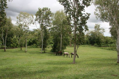 Mount Bundy Station - Lennox Head Accommodation 25