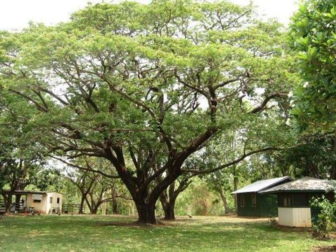 Mount Bundy Station - Lennox Head Accommodation 26