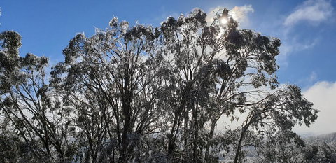 Cedarwood Apartments - Lennox Head Accommodation 1