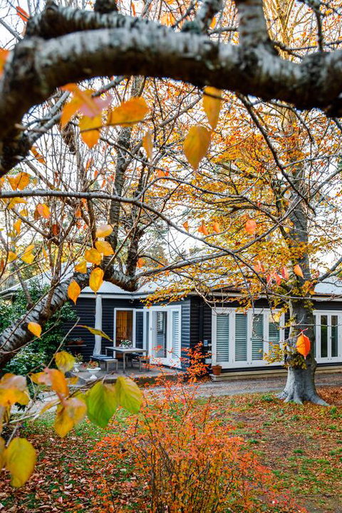 Charming Mountain Cottage - Lennox Head Accommodation 3