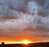 creative 3D sculpture share - Lennox Head Accommodation