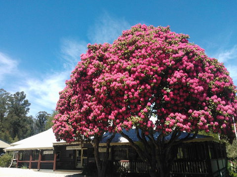 Crossways Country Inn - Lennox Head Accommodation 0