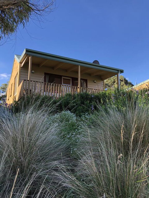 Daysy Hill Country Cottages - Lennox Head Accommodation 3