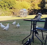 Eildon Parkview Motor Inn - Lennox Head Accommodation