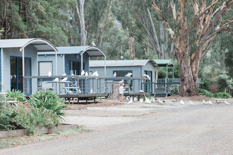 Eildon Pondage Holiday Park - Lennox Head Accommodation 3