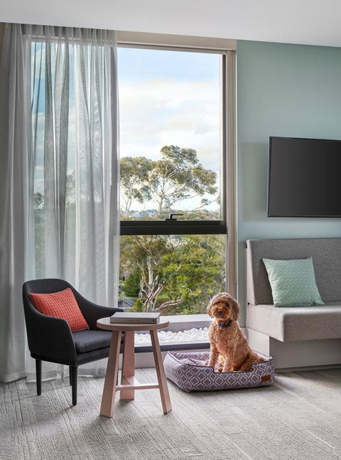 Element Melbourne Richmond - Lennox Head Accommodation 3