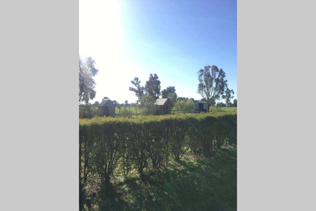 Moyhu ACT Lennox Head Accommodation