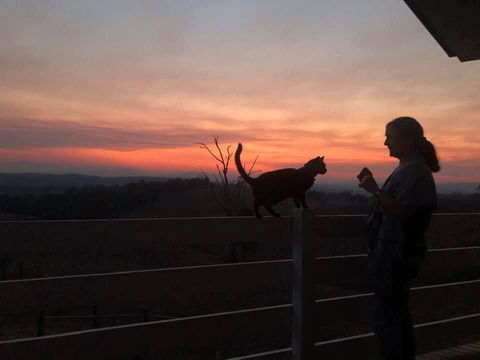 Farringdon Homestead - Lennox Head Accommodation 1