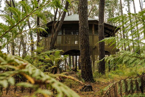 Federation Gardens & Possums Hideaway - Lennox Head Accommodation 2