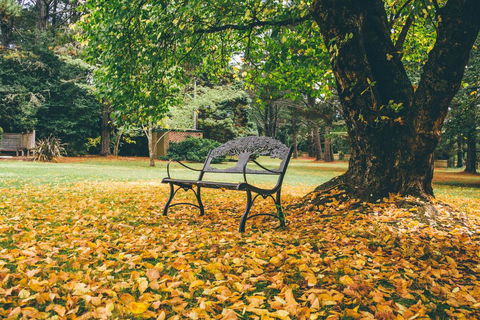 Federation Gardens & Possums Hideaway - Lennox Head Accommodation 1