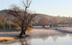 FROGGIES HOLIDAY HOUSE - thumb 1