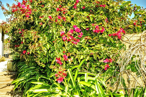 Halls Head Holiday Home - Lennox Head Accommodation 3