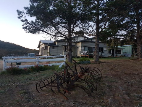 Happy Pig Farm - Lennox Head Accommodation 2