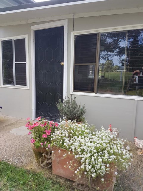 Happy Pig Farm - Lennox Head Accommodation 3