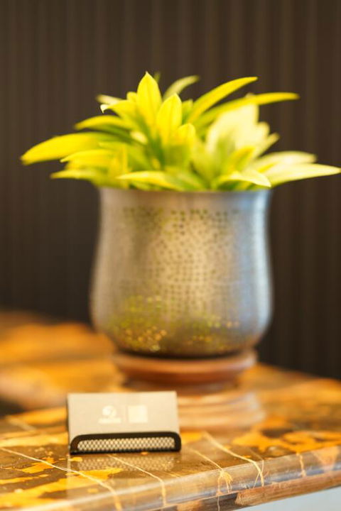 Jephson Hotel & Apartments - Lennox Head Accommodation 3