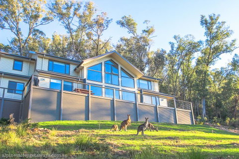 Kangaroo Lodge - Lennox Head Accommodation 1