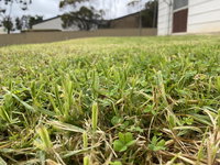 Book Karoonda Accommodation Vacations Lennox Head Accommodation Lennox Head Accommodation