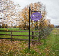 King River Cottage - Lennox Head Accommodation