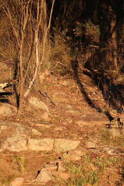 Maric Park Cottages - Lennox Head Accommodation 3
