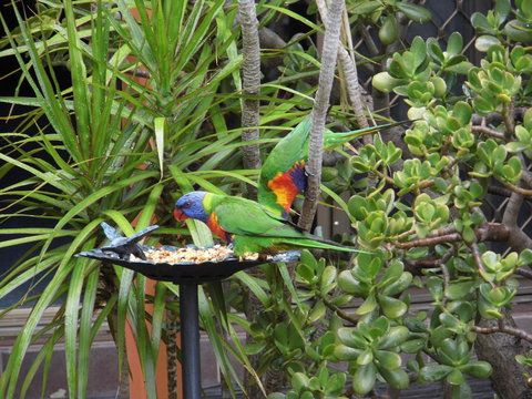 Nanango Fitzroy Motel - Lennox Head Accommodation 2