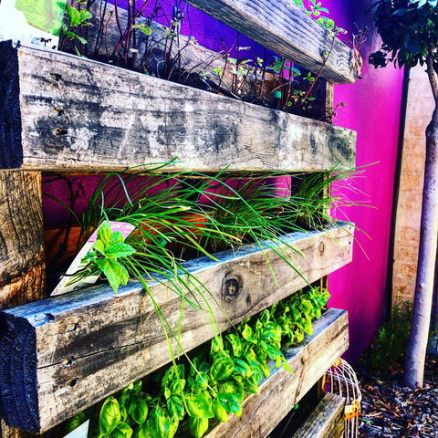 BeachHideaway@Scarborough - Lennox Head Accommodation 11