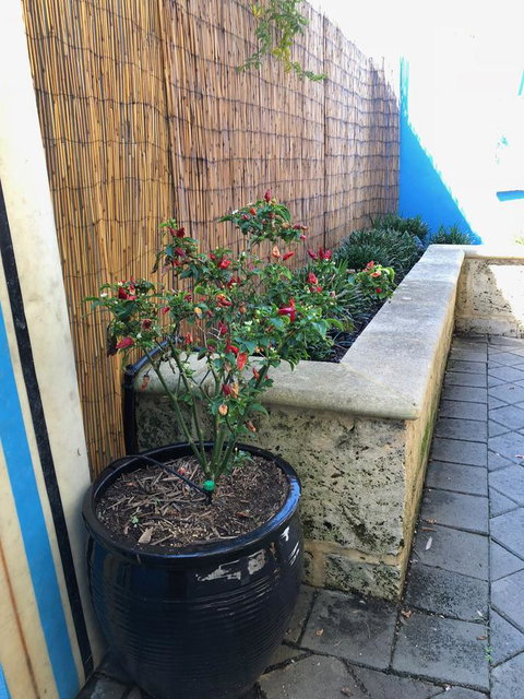 BeachHideaway@Scarborough - Lennox Head Accommodation 33