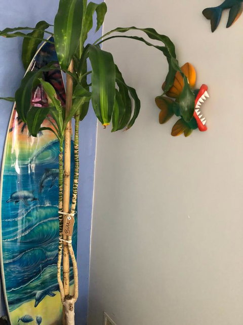 BeachHideaway@Scarborough - Lennox Head Accommodation 28