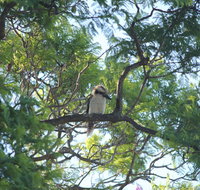Jacaranda Hideaway Bed  Breakfast - Lennox Head Accommodation