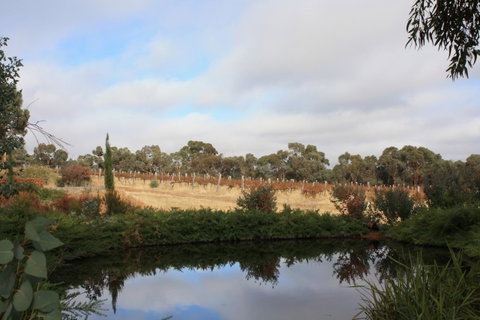 Hotham Ridge Estate - Lennox Head Accommodation 27