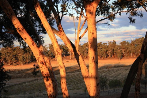 Hotham Ridge Estate - Lennox Head Accommodation 30