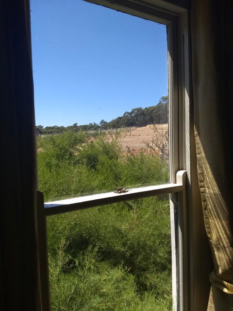 Hotham Ridge Estate - Lennox Head Accommodation 8