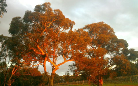 Hotham Ridge Estate - Lennox Head Accommodation 35