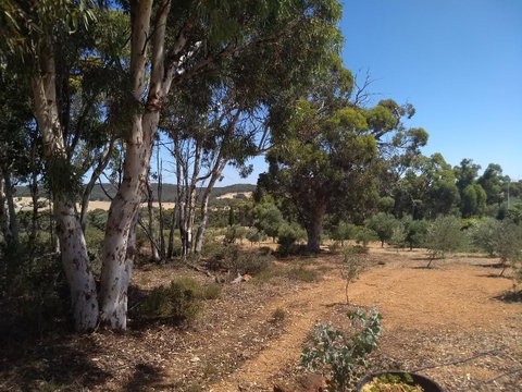 Hotham Ridge Estate - Lennox Head Accommodation 13