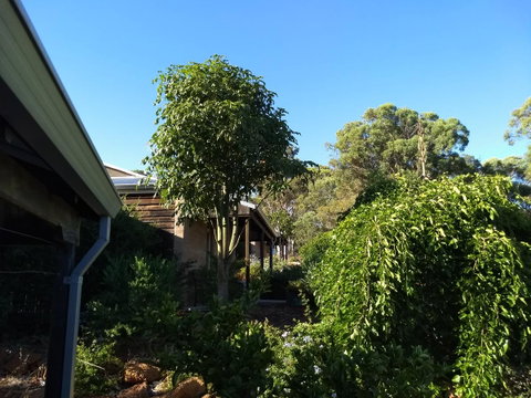 Hotham Ridge Estate - Lennox Head Accommodation 5