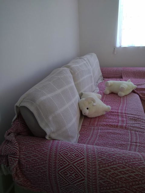 DIANELLA Budget Rooms Happy Place To Stay - Lennox Head Accommodation 29