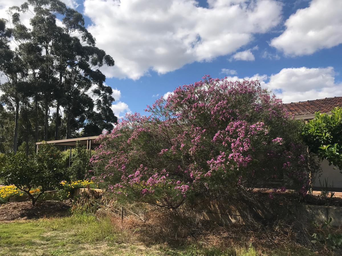 Lennox Head Accommodation