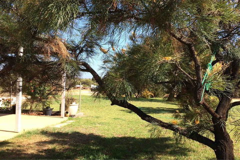 Ocean View Homestead - Lennox Head Accommodation 23