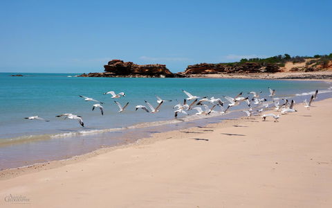 Apartments At Blue Seas Resort - Lennox Head Accommodation 25