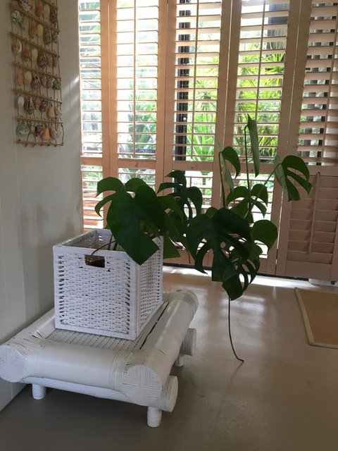 DESIGNER'S STUDIO - Lennox Head Accommodation 5