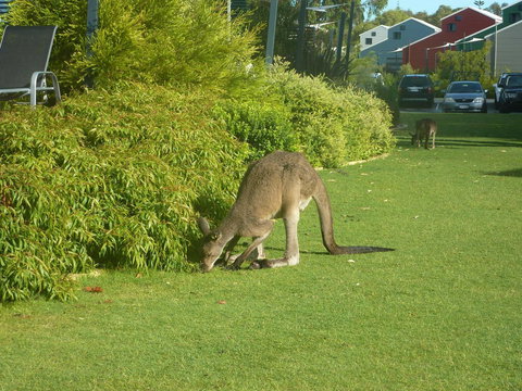 Footprints Preston Beach - Lennox Head Accommodation 16