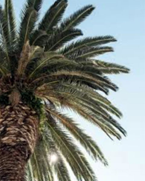 Best Western Plus Hotel Lord Forrest - Lennox Head Accommodation 8