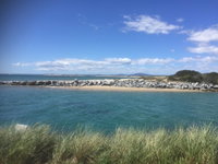 Book Bridport Accommodation Vacations Lennox Head Accommodation Lennox Head Accommodation