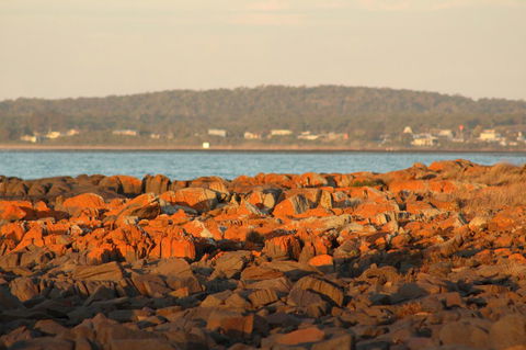 Tamar Solar Home - Lennox Head Accommodation 16