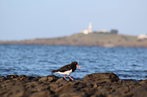 Tamar Solar Home - Lennox Head Accommodation 3